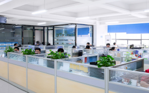 Company Environment