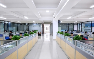 Company Environment
