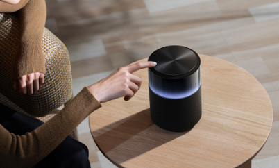Smart Speakers