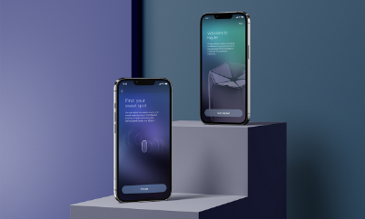 Mobile Terminal Devices